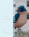 City Bird and Other Poems (City Lights Spotlight Series No 24) by Patrick James Dunagan, 9780872869332