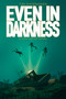 Even in Darkness - 9781646070985 by Tim Shoemaker, 9781646070985