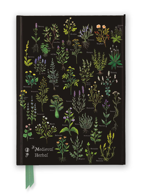 Anna Stead: A Medieval Herbal (Foiled Journal) by Flame Tree Studio, 9781804179499