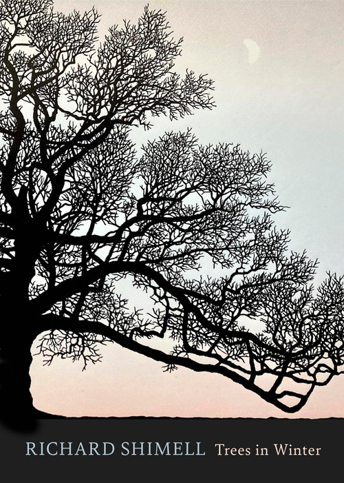 Trees in Winter (A beautiful book for anyone who loves printmaking and nature) by Richard Shimell, 9781408732403