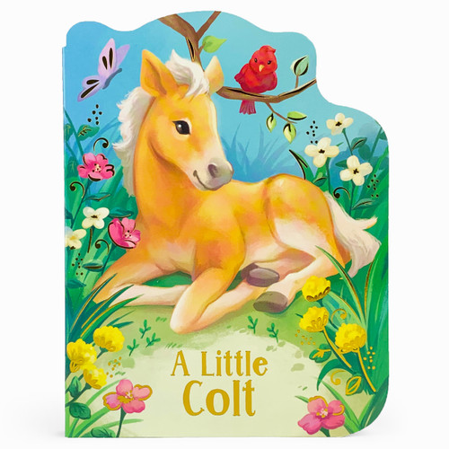 A Little Colt by Rosalee Wren, Felia Hanakata, Cottage Door Press, 9781680527773