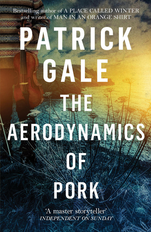 The Aerodynamics of Pork by Patrick Gale, 9781472255600