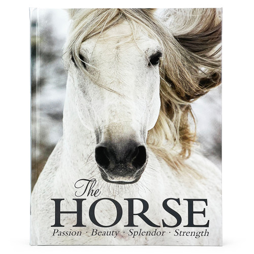 The Horse by Parragon Books, Elaine Walker, Anett Somogyvari, 9781646382262
