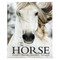 The Horse by Parragon Books, Elaine Walker, Anett Somogyvari, 9781646382262