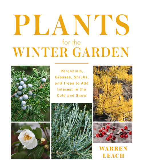 Plants for the Winter Garden (Perennials, Grasses, Shrubs, and Trees to Add Interest in the Cold and Snow) by Warren Leach, 9781604699265