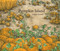 Pumpkin Island by Arthur Geisert, 9781592702657