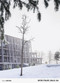 OFIS FILES. 2012 - 2024 by Sandra Hofmeister, 9783955536404