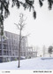 OFIS FILES. 2012 - 2024 by Sandra Hofmeister, 9783955536404