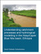 Understanding Catchment Processes and Hydrological Modelling in the Abay/Upper Blue Nile Basin, Ethiopia by Sirak Tekleab Gebrekristos, 9781138027923