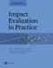 Impact Evaluation in Practice by Paul J. Gertler, Sebastian Martinez, Patrick Premand, Laura B. Rawlings, Christel M. J. Vermeersch, 9780821385418