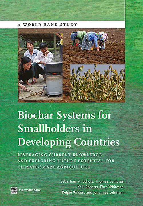 Biochar Systems for Smallholders in Developing Countries (Leveraging Current Knowledge and Exploring Future Potential for Climate-Smart Agriculture) by Sebastian B. Scholz, Thomas Sembres, Kelli Roberts, Thea Whitman, Kelpie Wilson, Johannes Lehmann, 9780821395257