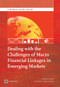 Dealing with the Challenges of Macro Financial Linkages in Emerging Markets by Otaviano Canuto, Swati Ghosh, 9781464800023