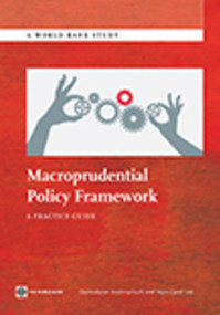 Macroprudential Policy Framework (A Practice Guide) by Damodaran  Krishnamurti, Yejin  Carol Lee, 9781464800856