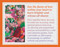 Wild Bohemian (Affirmation cards) by Akal Pritam, 9781922785220