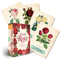 Oracle of The Roses by Cheralyn Darcey, 9781925946277