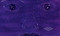 A Face Is a Poem by Julie Morstad, 9780735267565