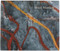 Brice Marden: Let the Painting Make You by Tiffany Bell, Paul Galvez, 9780847834624