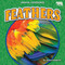 Feathers - 9798889169833 by Jenna Grodzicki, 9798889169833