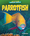 Parrotfish - 9798892320238 by Rachel Rose, 9798892320238