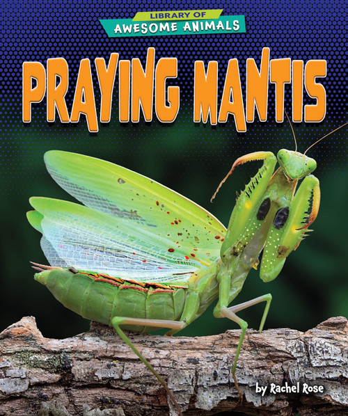 Praying Mantis - 9798892320245 by Rachel Rose, 9798892320245