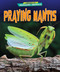 Praying Mantis - 9798892320245 by Rachel Rose, 9798892320245