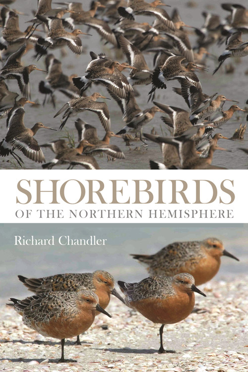 Shorebirds of the Northern Hemisphere by Richard Chandler, 9781408107904