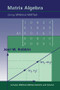 Matrix Algebra Using MINimal MATlab by Joel W. Robbin, 9781568810249