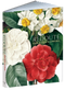 Redouté: Fabulous Flowers by Pierre-Joseph Redouté, 9780486854069