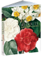 Redouté: Fabulous Flowers by Pierre-Joseph Redouté, 9780486854069