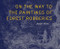 On the Way to the Paintings of Forest Robberies by Jennifer Nelson, 9798989978519