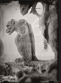 Tomas Van Houtryve: 36 Views of Notre Dame by Tomas van Houtryve, Pauline Vermare, Victor Hugo, 9798890180872