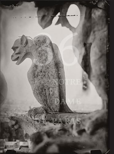 Tomas Van Houtryve: 36 Views of Notre Dame by Tomas van Houtryve, Pauline Vermare, Victor Hugo, 9798890180872