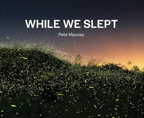 While We Slept by Pete Mauney, Tim Davis, David Hume Kennerly, Orit Peleg, Jessica Chappe, 9781961856141