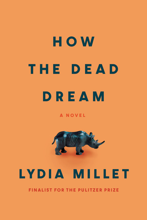 How the Dead Dream (A Novel) - 9781593767907 by Lydia Millet, 9781593767907