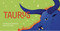 Taurus Pocket Zodiac Cards (40 Magical Messages from the Stars) by Ginny Chiara Viola, 9781590035672
