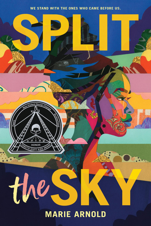 Split the Sky (Coretta Scott King Author Honor Title) by Marie Arnold, 9780316582872