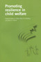 Promoting Resilience in Child Welfare by Robert J. Flynn, Peter M. Dudding, James G. Barber, 9780776635538