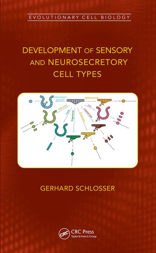 Development of Sensory and Neurosecretory Cell Types (Vertebrate Cranial Placodes, volume 1) by Gerhard Schlosser, 9780367747787
