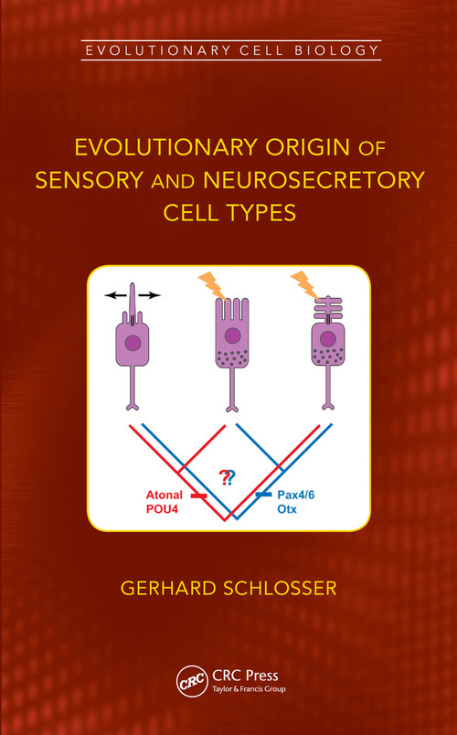 Evolutionary Origin of Sensory and Neurosecretory Cell Types (Vertebrate Cranial Placodes, volume 2) by Gerhard Schlosser, 9780367749804