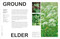 What's That Weed? (Know Your Weeds and Learn to Live with Them) by DK, 9780744092370
