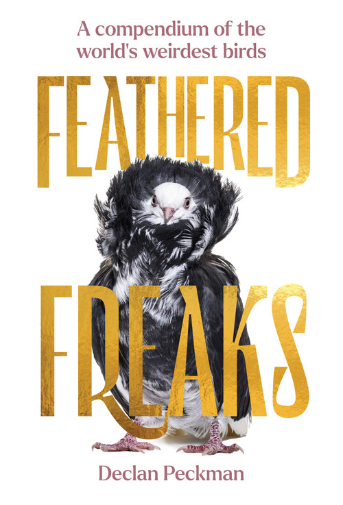 Feathered Freaks (A Compendium of the World's Weirdest Birds) by Declan Peckman, 9781923049482