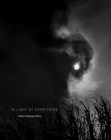 Debbie Fleming Caffery: In Light of Everything by Debbie Fleming Caffery, Russell Lord, Brian Piper, 9781955161404