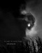 Debbie Fleming Caffery: In Light of Everything by Debbie Fleming Caffery, Russell Lord, Brian Piper, 9781955161404