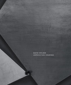 David Goldes: Unpredictable Drawings by David Goldes, Pavel S. Pys, 9781955161015