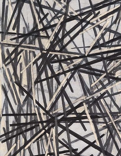 Charles Arnoldi: Paper by Charles Arnoldi, Bruce Guenther, 9781934435991