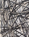 Charles Arnoldi: Paper by Charles Arnoldi, Bruce Guenther, 9781934435991