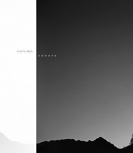 scott b. davis: sonora by Scott B. Davis, Joshua Chuang, Virginia Heckert, 9781942185840