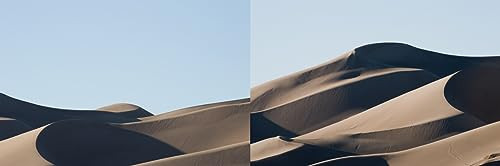 Renate Aller: Ocean and Desert by Renate Aller, Janet Dees, 9781934435816