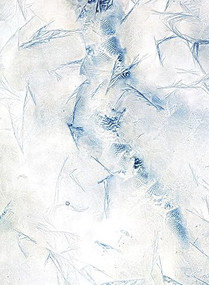 Meghann Riepenhoff: Ice by Meghann Riepenhoff, Rebecca Solnit, 9781942185864