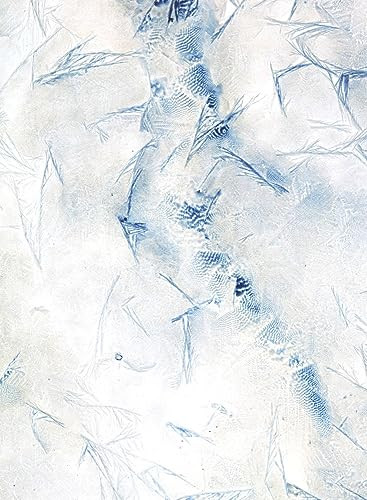 Meghann Riepenhoff: Ice by Meghann Riepenhoff, Rebecca Solnit, 9781942185864